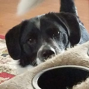 Meet your Posher, Sunflower_babe